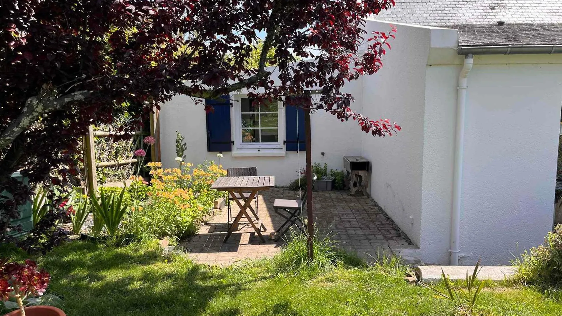 Διαμέρισμα Maison Lumineuse A Sauzon Avec Grande Terrasse Et Jardin - Fr-1-418-269 Γαλλία
